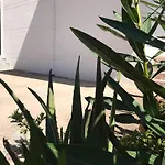 Alpha Apartaments